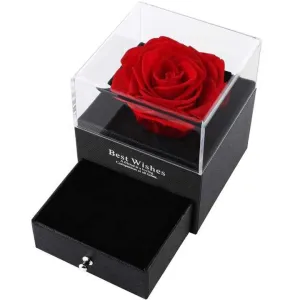 رائعة عيد الحب هدية 2023 مجوهرات صندوق . Wonderful Valentine's Day Gift 2023