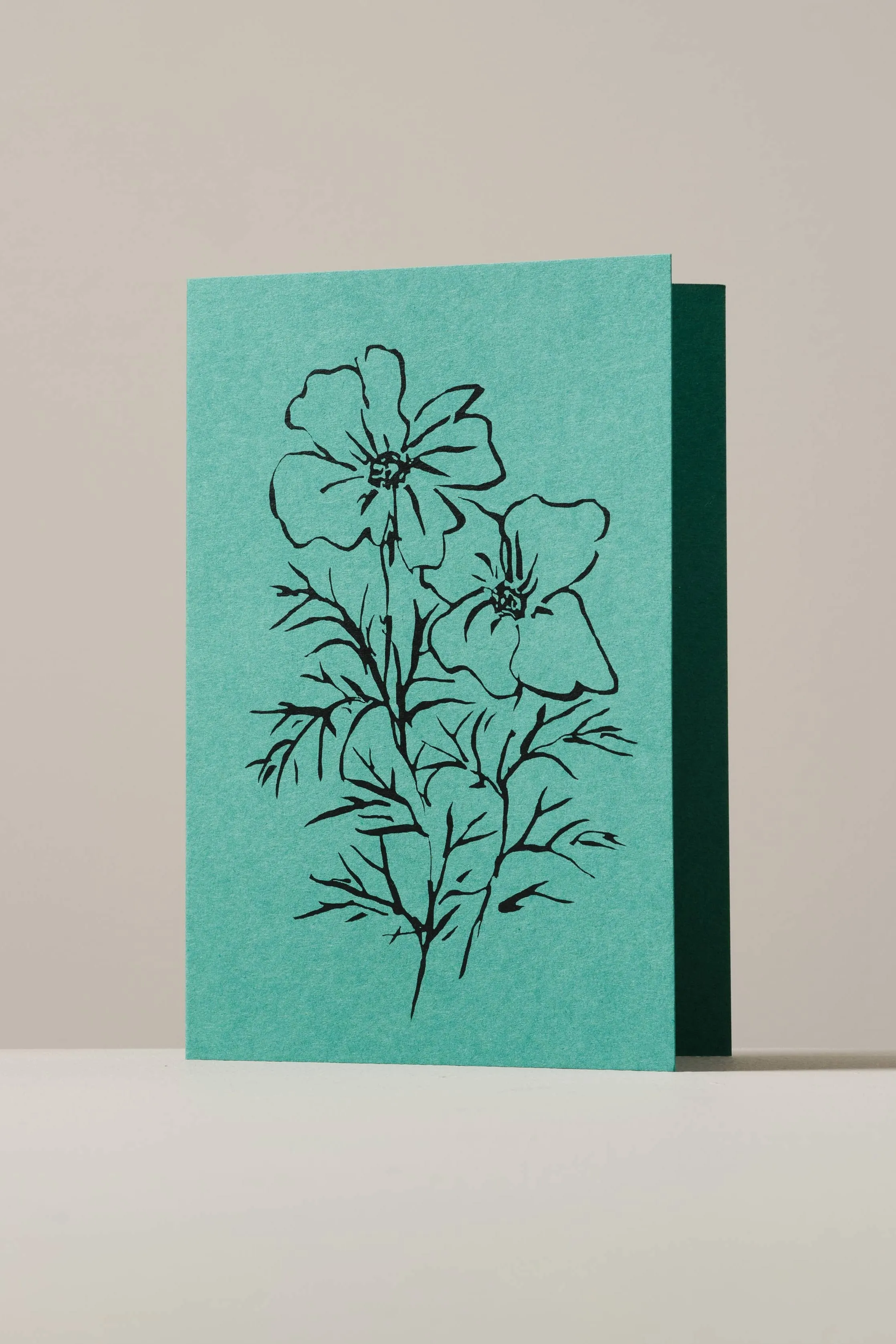Atelier Auge Cosmos Greeting Card