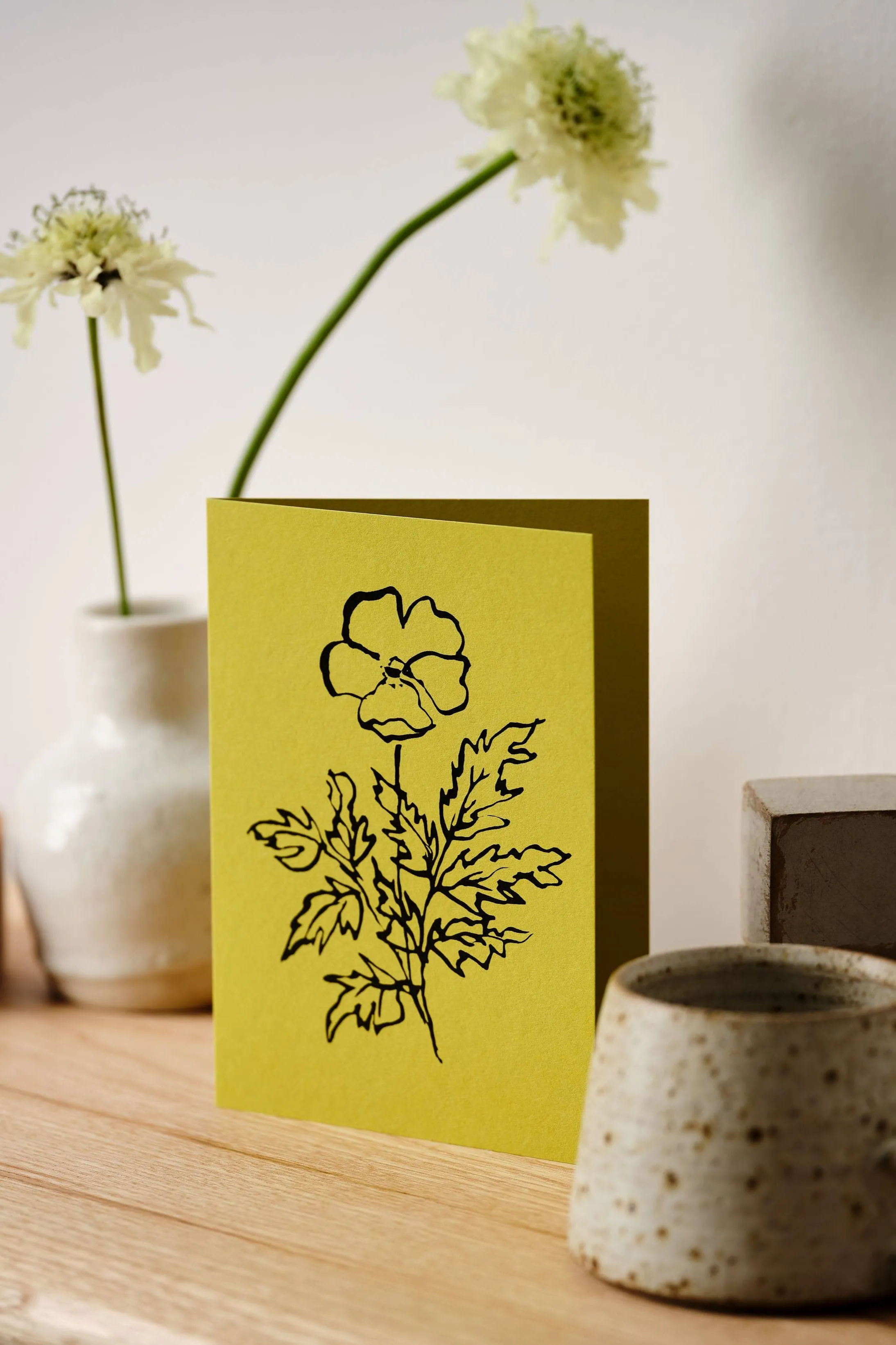 Atelier Auge Silverweed Greeting Card