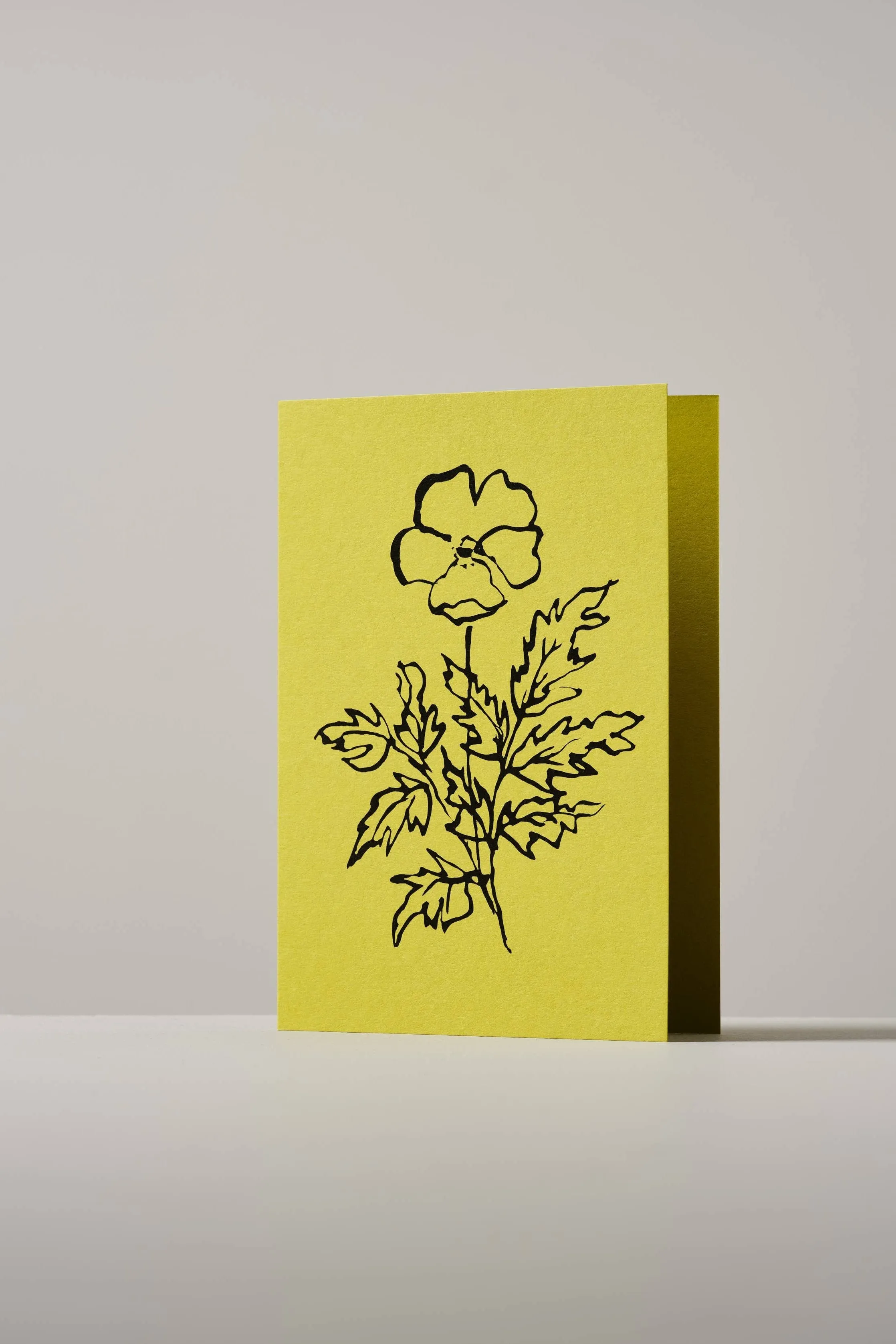 Atelier Auge Silverweed Greeting Card