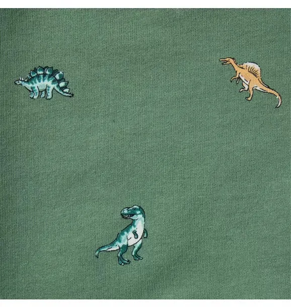Baby Dinosaur French Terry Sweatshirt - Dark Sage Dinosaur