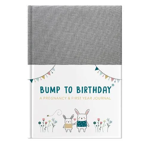 BUMP TO BIRTHDAY A PREGNANCY & FIRST YEAR JOURNAL